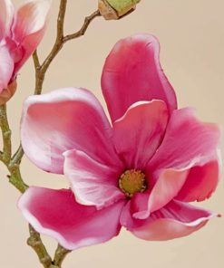 pink-magnolia-paint-by-numbers (1)