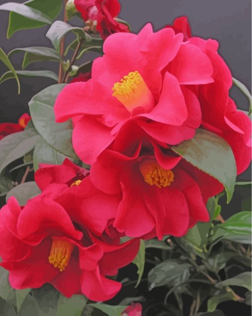 red-camellia-paint-by-numbers