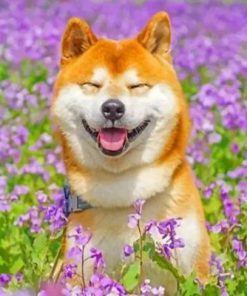 Smiling Shiba Inu Paint by numbers