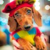 Stylish Dachshund paint by numbers