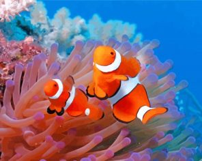 Aesthetic Clownfish paint by numbers