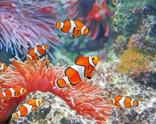 Aesthetic Clownfish Undersea paint by number