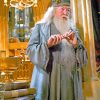 Albus Dumbledore Harry Potter paint by number