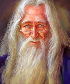Albus Dumbledore Art Paint By Numbers