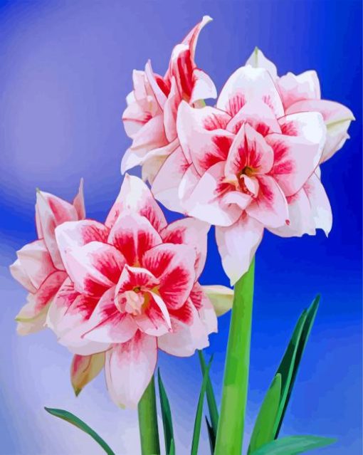 Amaryllis Flowering Plant paint by numbers