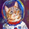 Astronaut Cat Art paint by number