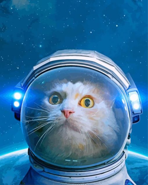 Astronaut Cat In Space paint by numbers