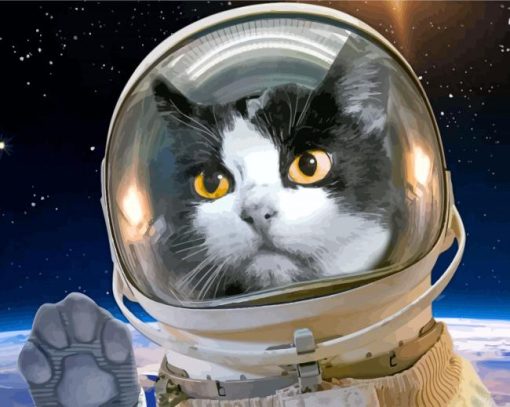 Astronaut Space Cat paint by number