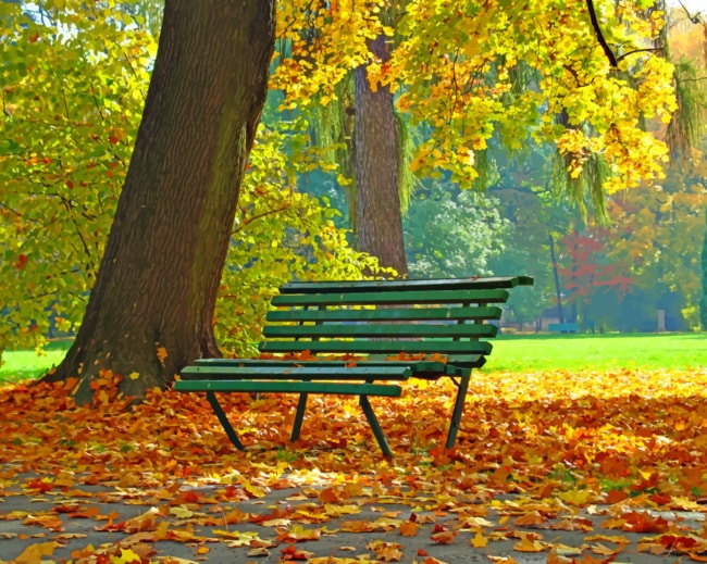 Autumn Bench paint by numbers