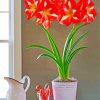 Blooming Amaryllis Flowers paint by number