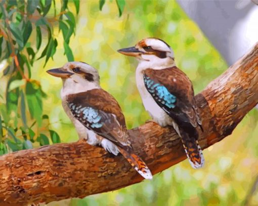 Blue Winged Kookaburra birds paint by number