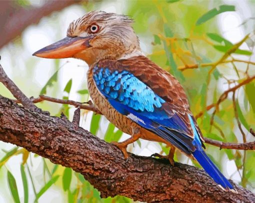 Blue Winged Kookaburra paint by number