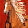 Brown Indian Horse paint by numbers