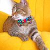 Cat Bow Tie paint by number