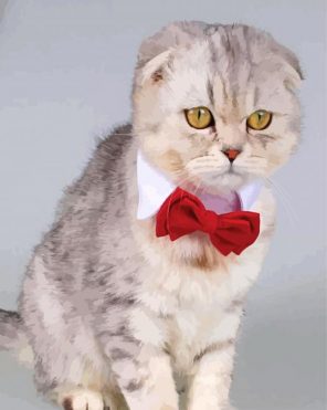 Cat Red Bow tie paint by number