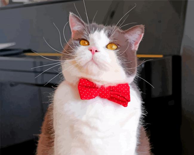 Cat With Bow Tie paint by number