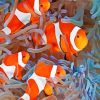 Clownfish Coral Reef paint by number