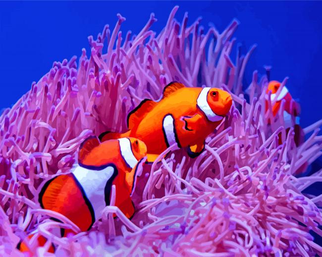 Clownfish On Coral Reef paint by number