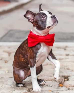 Dog With Red Bow Tie paint by number