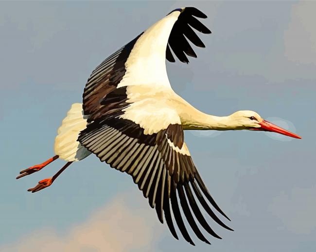 Flying Stork paint by number