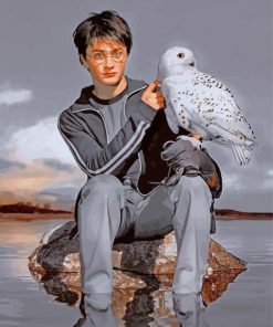 Harry Potter And Hedwig Paint by numbers