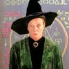 Harryy Potter Minerva McGonagall paint by number