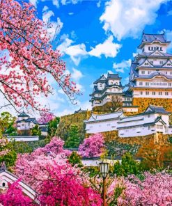 Himeji Castle Cherry Blossom Paint by numbers