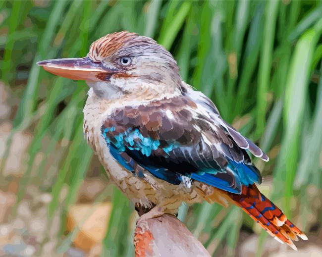 Little Blue Winged Kookaburra paint by number
