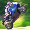 Motocross-BMW-K1300S-paint-by-number