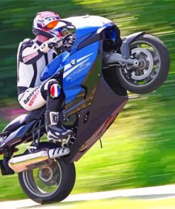 Motocross-BMW-K1300S-paint-by-number