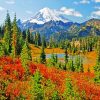Mount Rainier Landscape Paint by numbers
