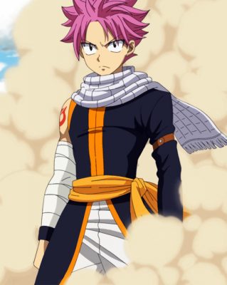 Natsu Dragneel Fairy Tail Paint by numbers