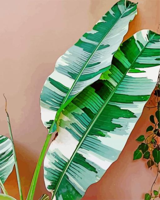 Philodendron-leaves-paint-by-numbers