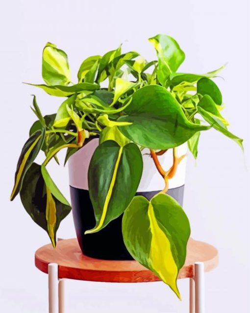 Philodendron-paint-by-number