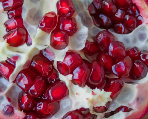 Pomegranate-fruit-paint-by-numbers