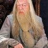 Professor Albus Dumbledore Harry Potter Paint By Number