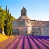 Provence Lavender House Paint by numbers