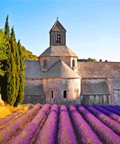 Provence Lavender House Paint by numbers