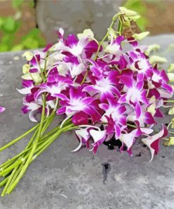 Purple Orchids paint by number