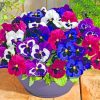 Purple Pansy Plants paint by numbers