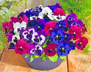 Purple Pansy Plants paint by numbers