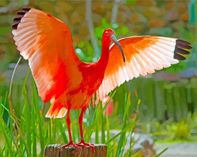 Scarlet Ibis Big Wings paint by numbers