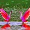 Scarlet ibis Birds In Swamp paint by number