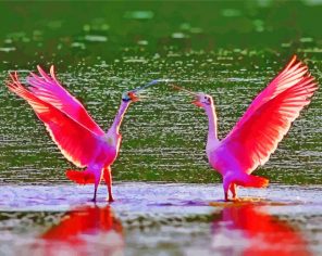 Scarlet ibis Birds In Swamp paint by number