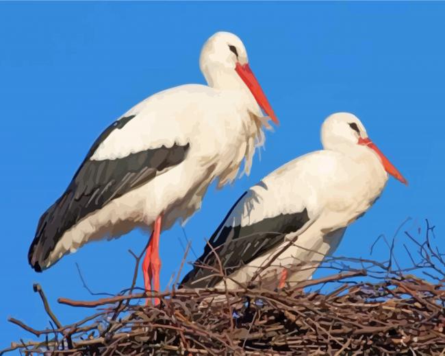 Stork Birds paint by numbers