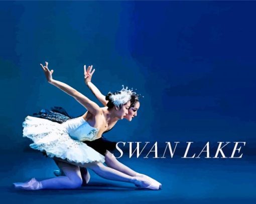 Swan Lake Dancer Paint by number