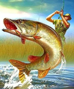 Fisherman Catching Bass Fish Paint by numbers