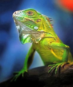 beautiful-green-iguana-adult-paint-by-numbers