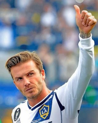 Beckham David paint by numbers