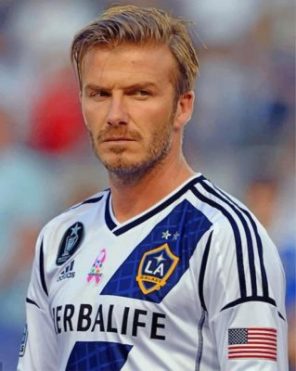 The Professionl Footballer Beckham paint by numbers